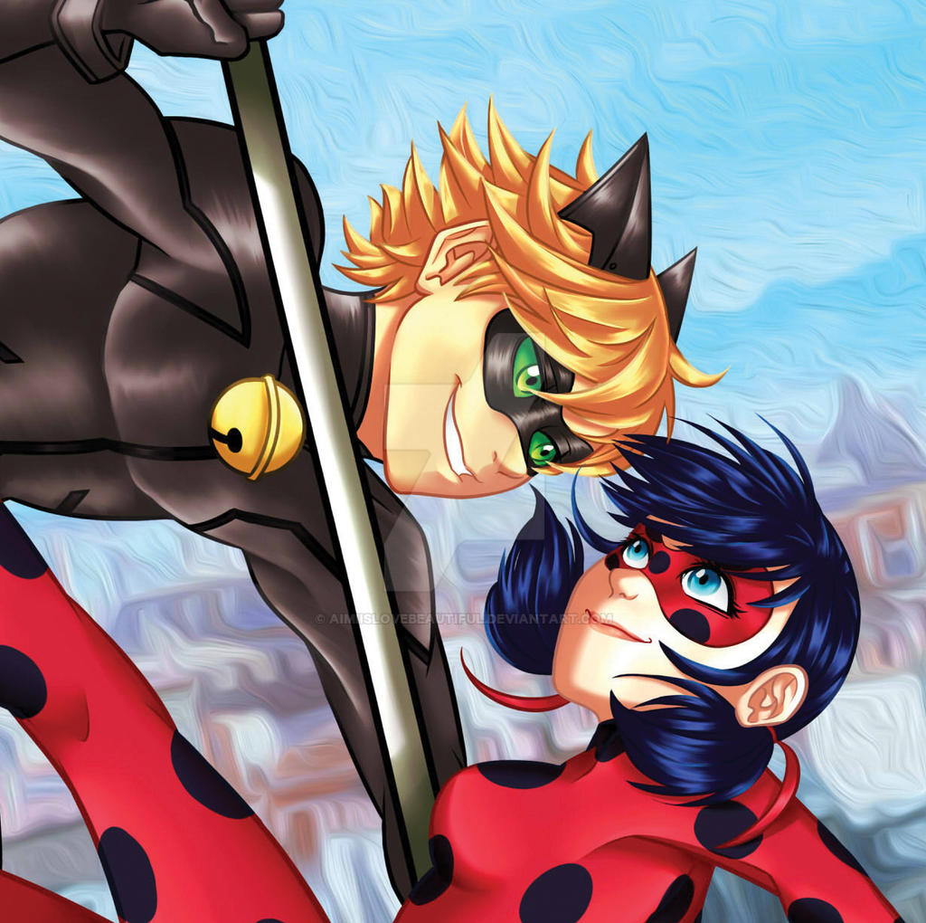 Miraculous Ladybug Cat Noir