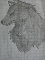 Black Wolf