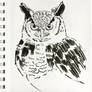 Quick owl sketch