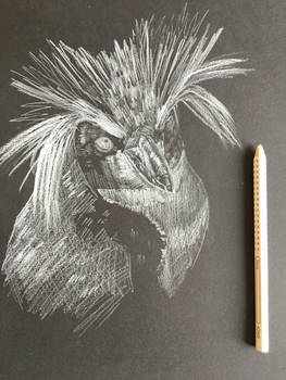 Explore The Best 鉛筆イラスト Art Deviantart Explore The Best 鉛筆イラスト Art Deviantart