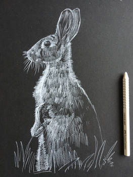 Explore The Best 動物イラスト Art Deviantart Explore The Best 動物イラスト Art Deviantart