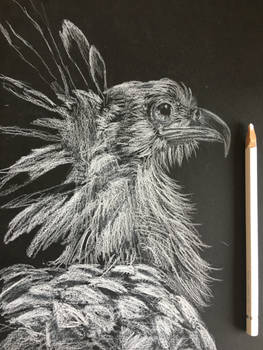 Explore The Best 鉛筆イラスト Art Deviantart Explore The Best 鉛筆イラスト Art Deviantart