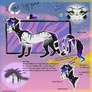 ~ angel tygrysek ~ main sona x