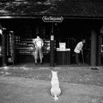 Hey,What are you doing? by 7Redhotz Hey,What are you doing? by 7Redhotz