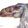 Dromeaosaurid