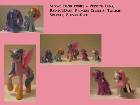 Second Hand Ponies