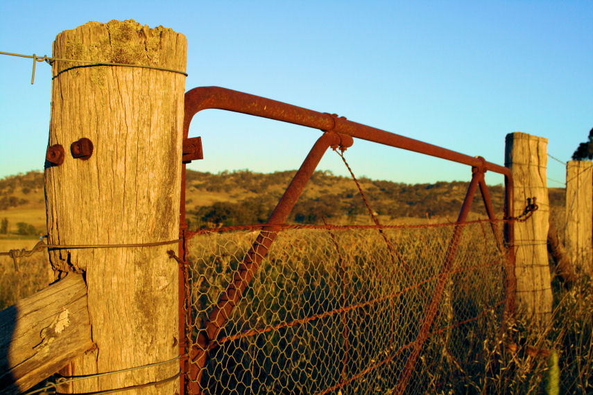 Rusty Afternoon