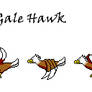 Gale Hawk