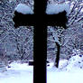 Grave on a snowy day 1