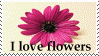 Flowers Stamp