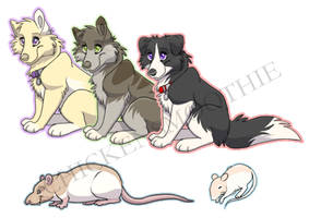 adoptables