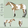 Paint Horse Design - Point Auction