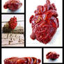 Anatomical Heart Magnet