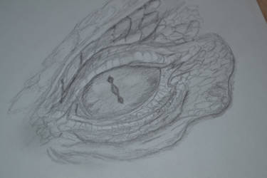 Smaug