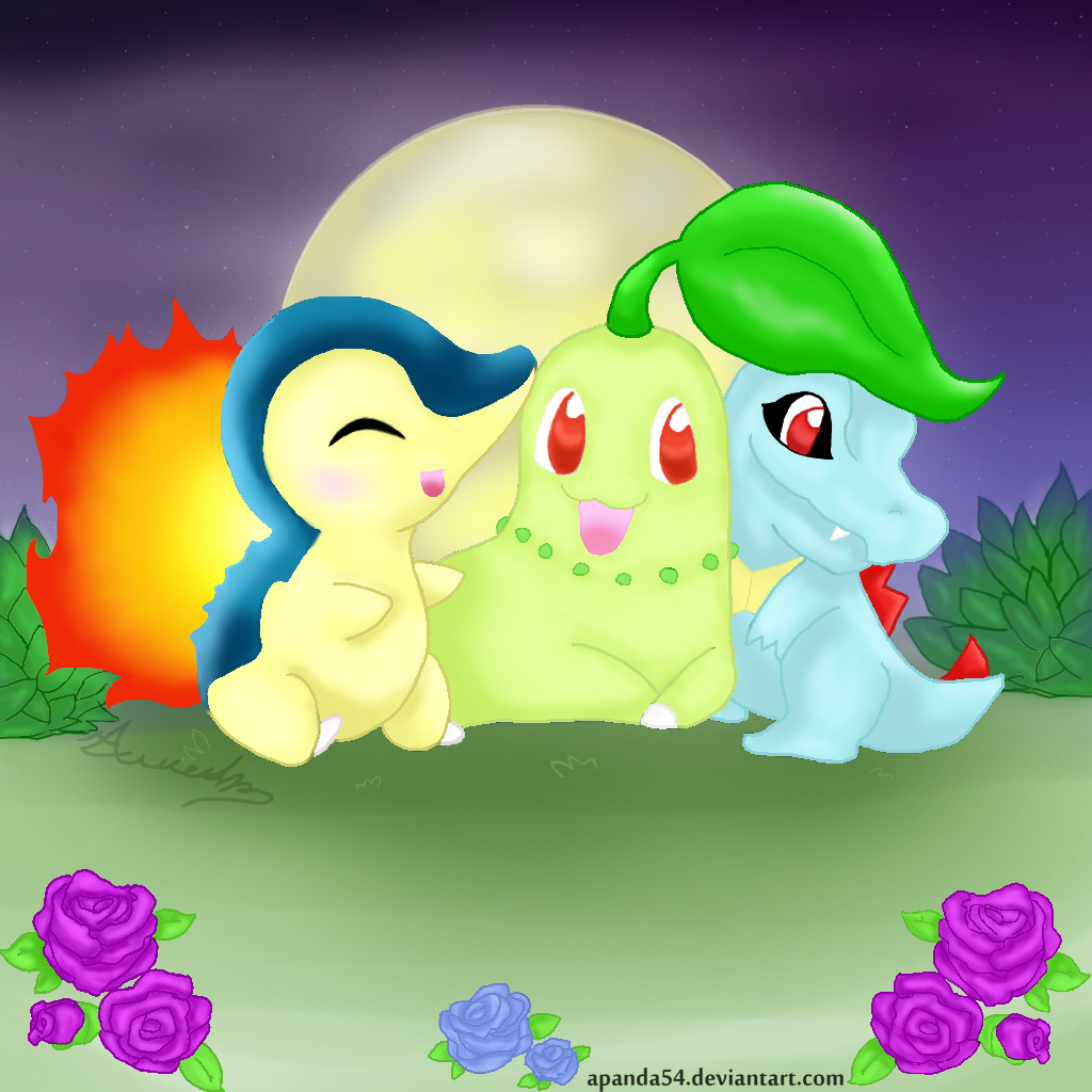 Johto Starters 2