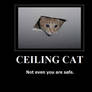 CEILING CAT