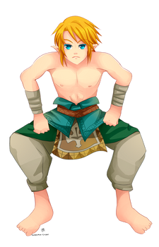 - Zelda Twilight Princess : Sumo Wrestling Link -