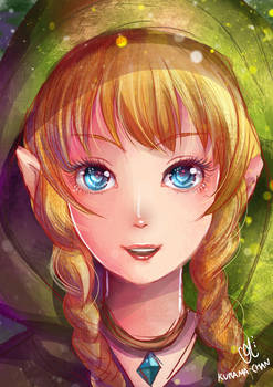-- Legend of Zelda: Linkle --