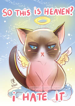 -- Grumpy Cat tribute --