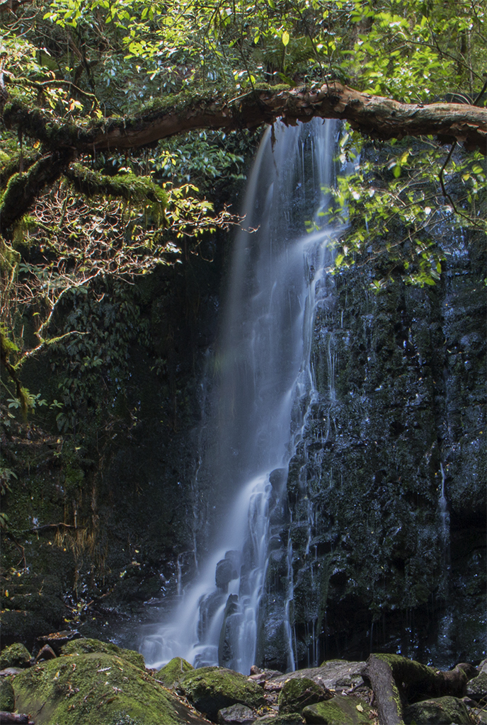 Waterfall Catlins