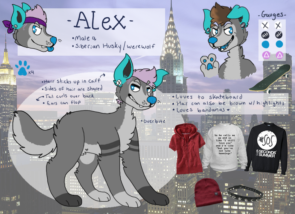 alex ref v.2