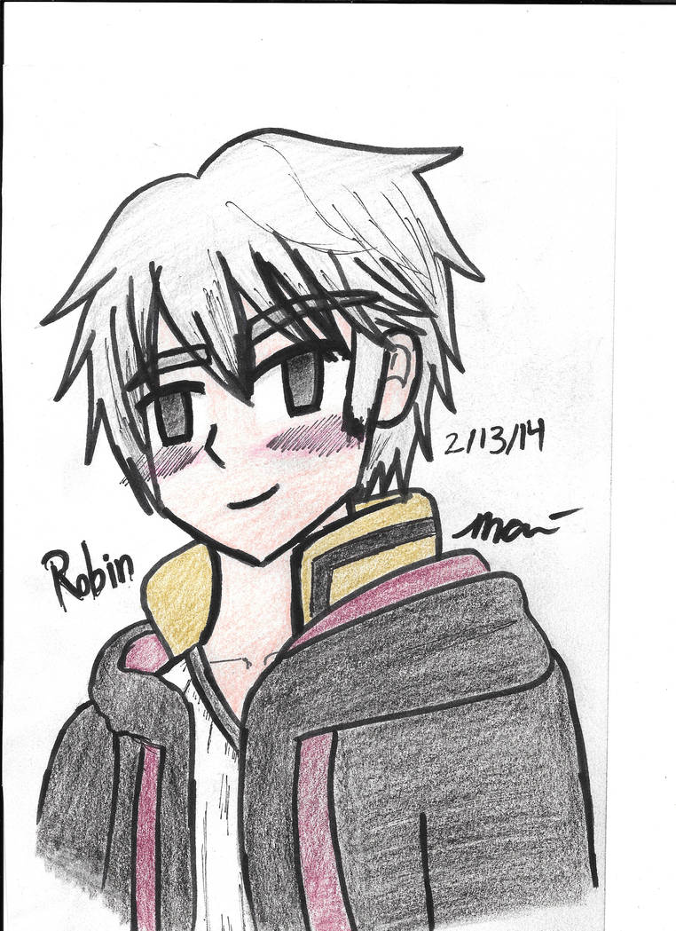 Robin Brother Robin (Super Smash Brothers and Fire Emblem) by 1ND1GO-ST4RDROP on ...