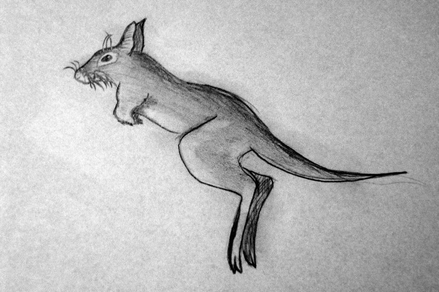 Springhare by Fortescu3 on DeviantArt