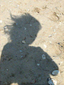 shadow on the sand