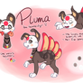 Pluma Ref