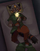 DreamBeans: Noah's Torracat TF