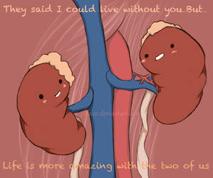 Kidney love