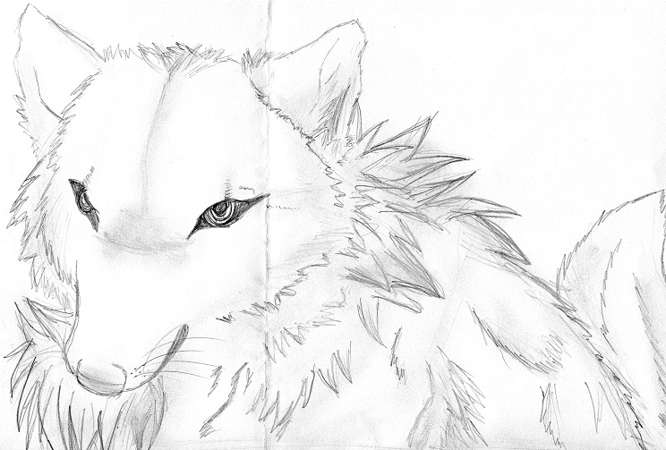 Realism wolf portrait