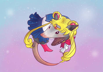 Sailor Possum