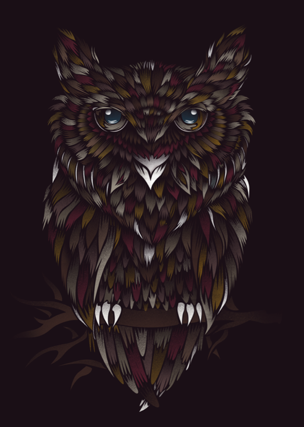 WILD OWL