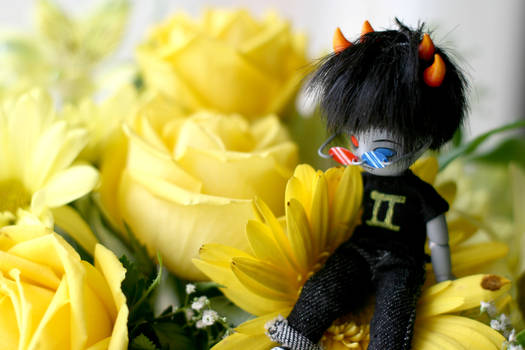 Sollux and flowers