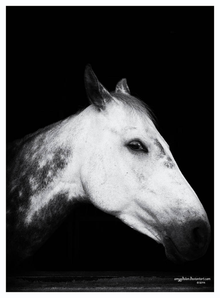 .: just another portrait :. by amygdalon
