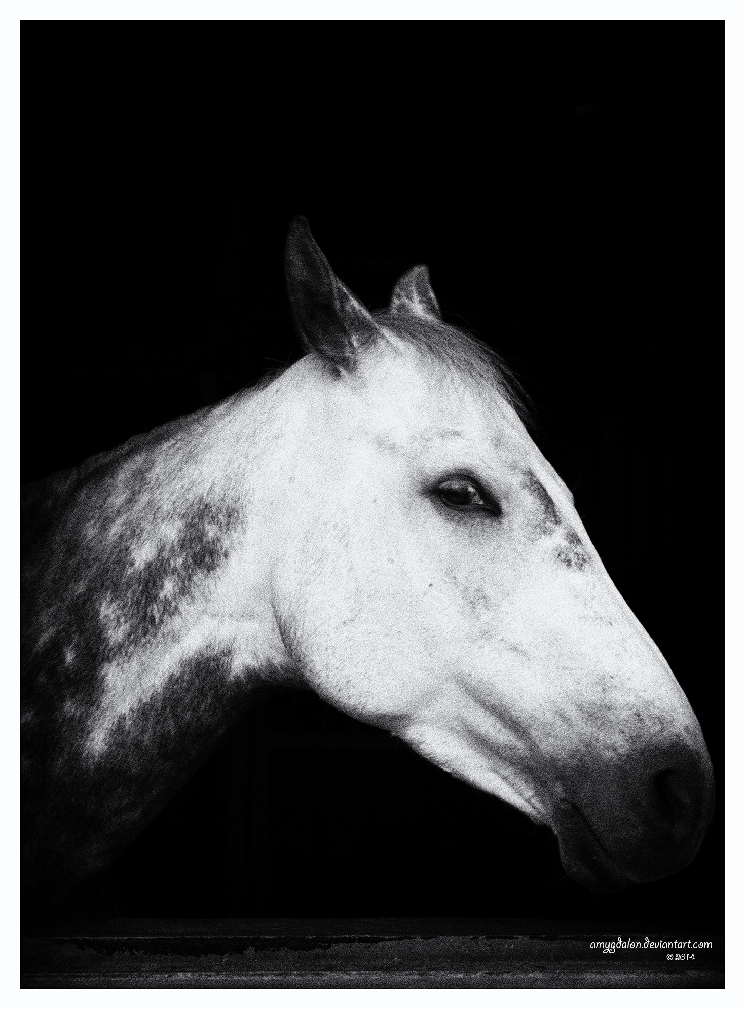 .: just another portrait :. by amygdalon
