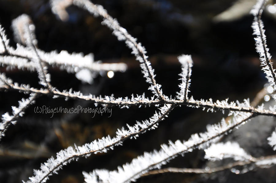 Ice Threads by ReapersMenagerie on DeviantArt