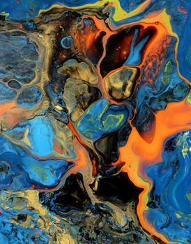 W-out 0481 ' colour optimist '