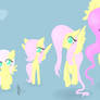 Cycle of Fluttershy: Completed