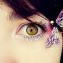 Butterfly eye