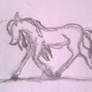 Poney au trot