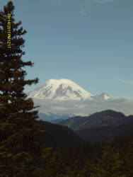 Mt. Rainier