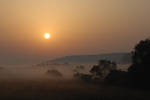 Foggy Summer Morning by unknown-dark
