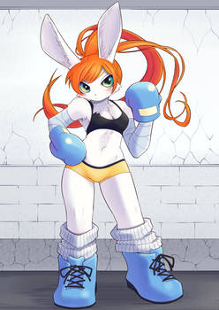 Rabbit Boxer