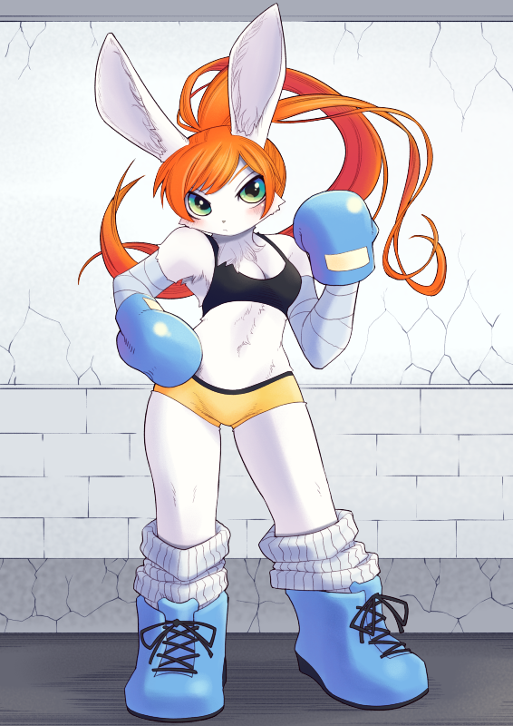 Anthro Rabbit Boxer Rabbit Boxer by unousaya on DeviantArt