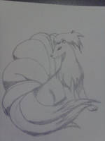 NINETAILS SKETCH