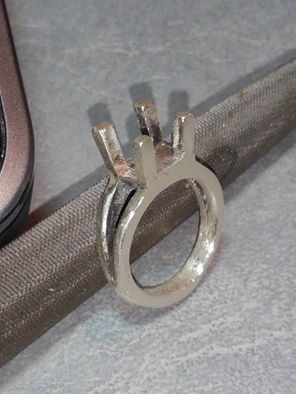 Tori's ring