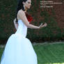 Wedding Dress 03