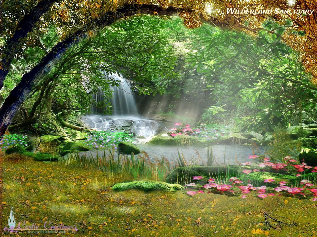 Wilderland pond3